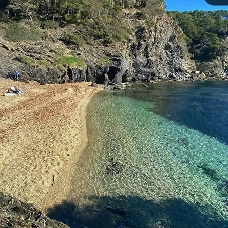 Appartement Bel Appart Bord De Mer 2 Pieces 1 Ch 4 Pers